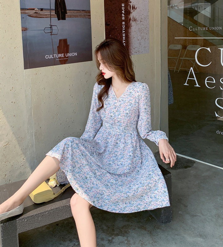 Chiffon floral long sleeve long dress bandage spring dress