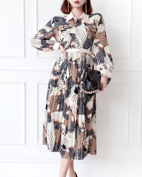 Pleated dress printing long dress for women
