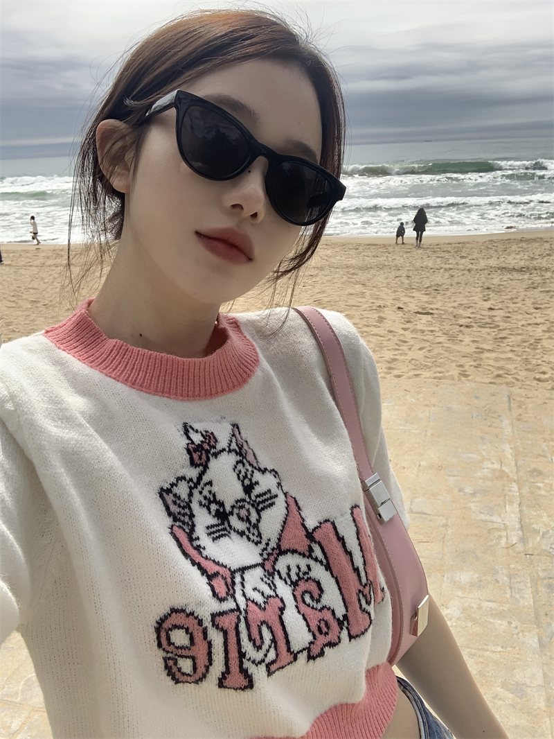 Loose cartoon tops Korean style kitty sweater for women