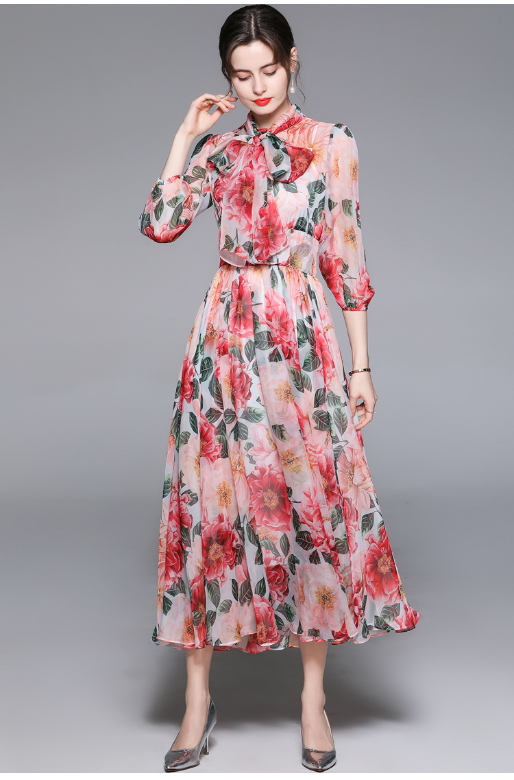 Frenum European style printing long dress for women