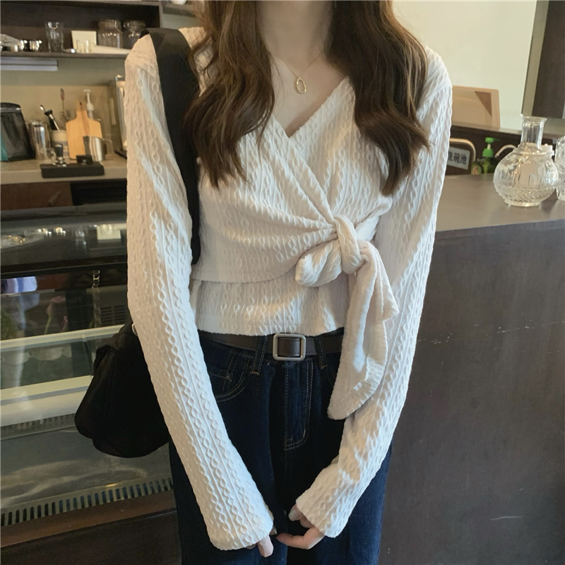 Short bottoming shirt long sleeve tops for women