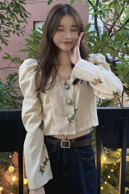 Puff sleeve retro embroidery shirt short France style tops
