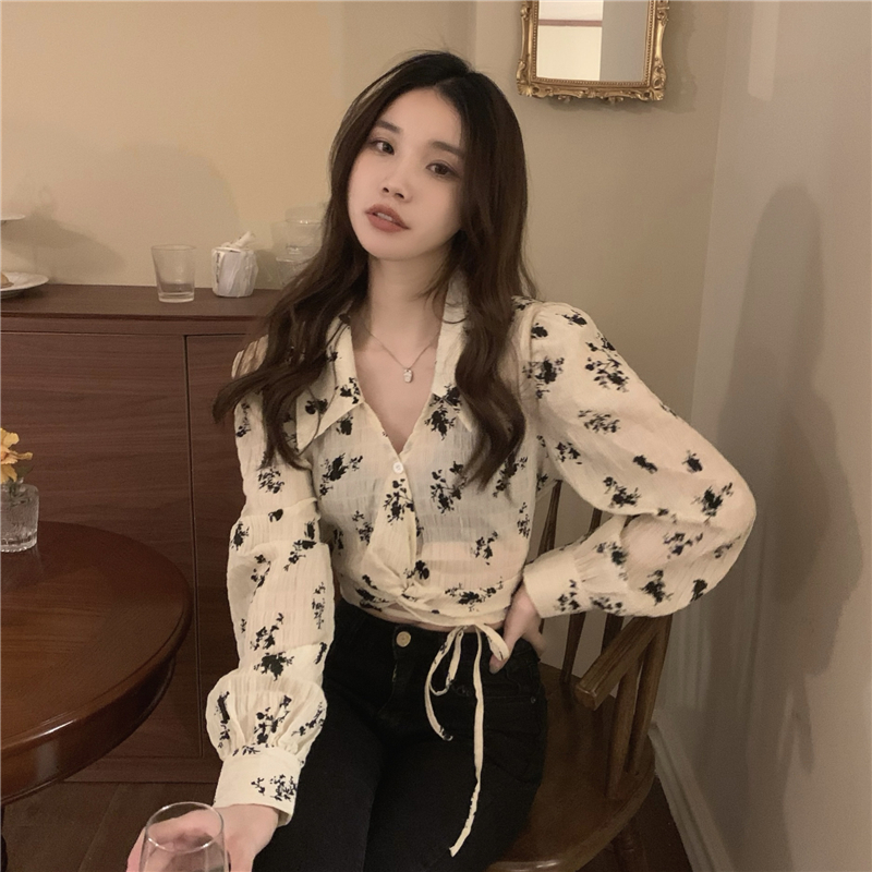 Short V-neck loose shirt frenum Korean style spring tops