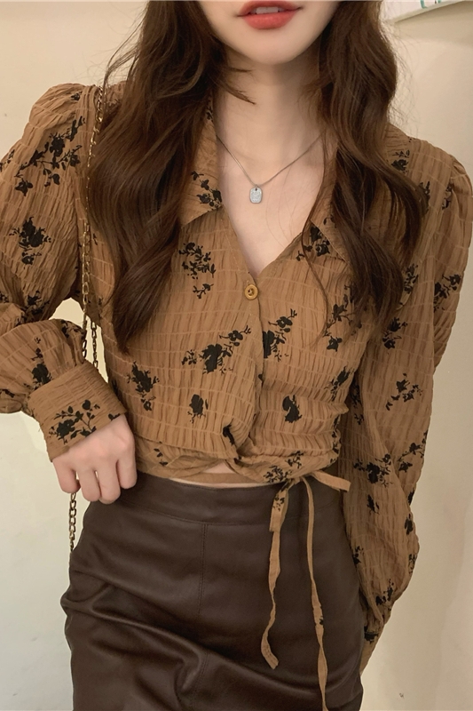 Short V-neck loose shirt frenum Korean style spring tops