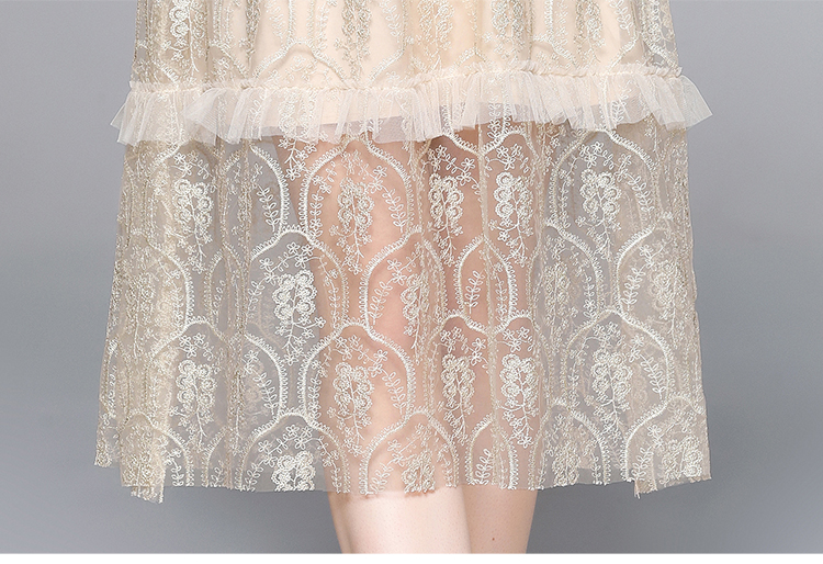 Beautiful temperament cake embroidery gauze lace dress