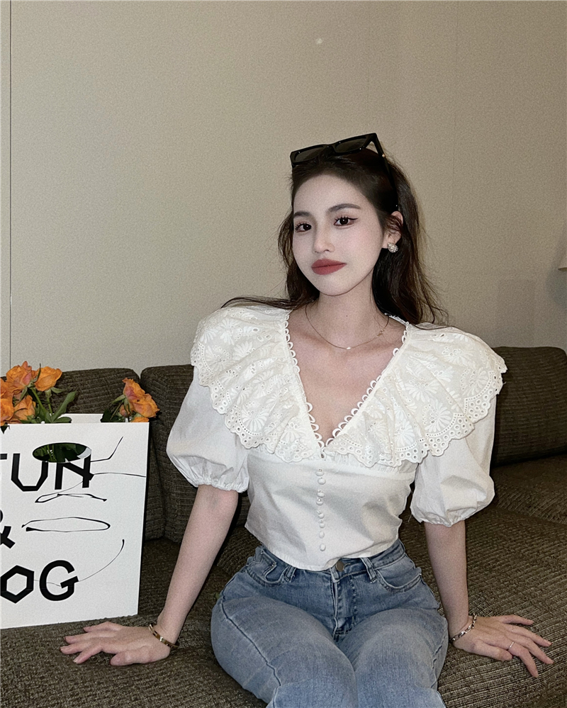 Puff sleeve short tops Korean style shirt for women