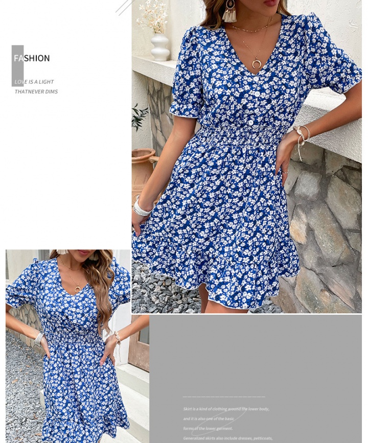 Floral V-neck European style retro dress for women