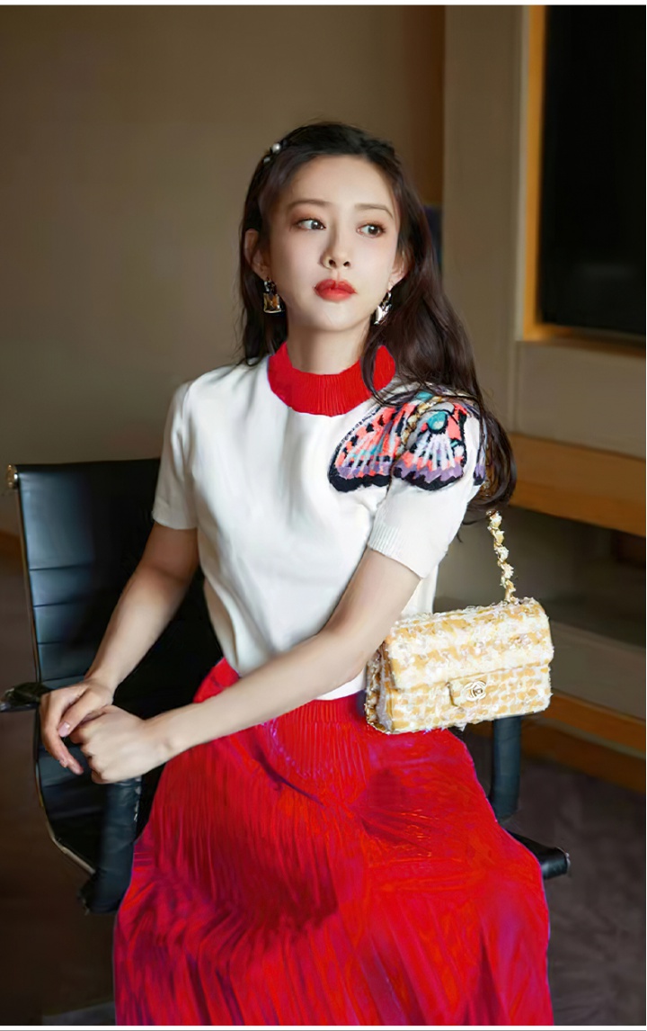 Butterfly pleated sweater embroidery skirt a set