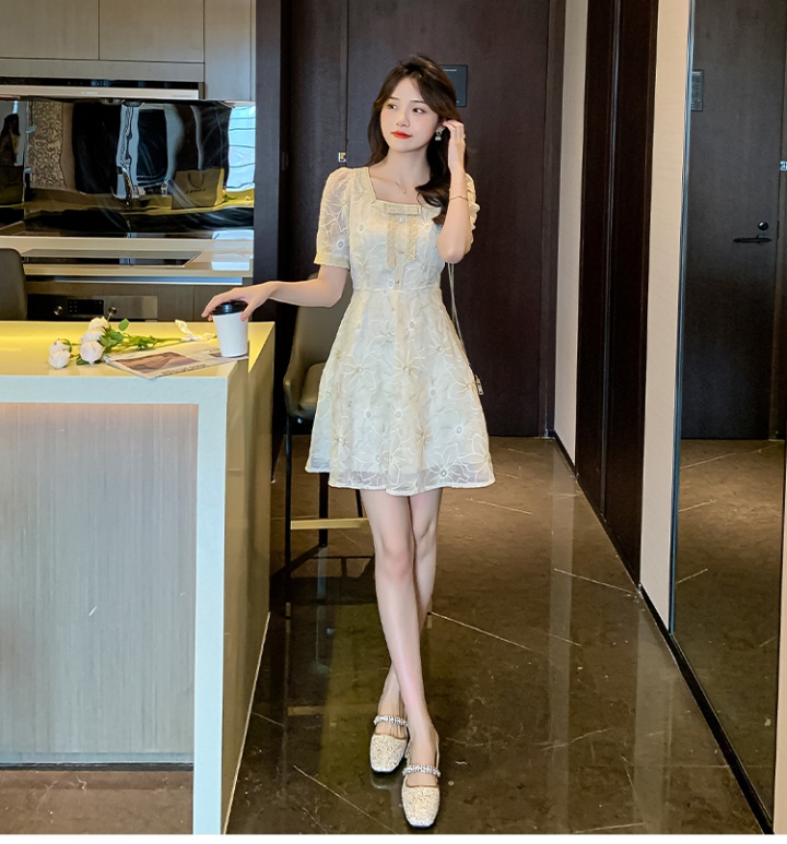 Summer lace tender fashion and elegant dress for women