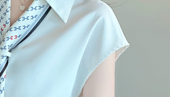 Summer temperament tops V-neck chiffon shirt for women