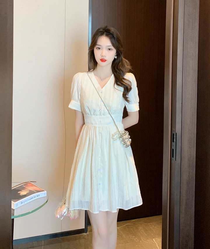 Summer lady fashion and elegant light chiffon dress