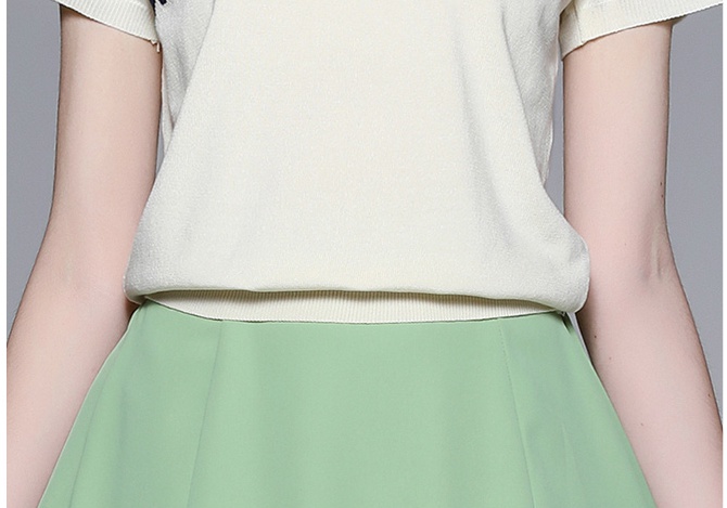 Short sleeve skirt fashion tops 2pcs set for women