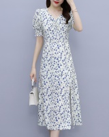 Pinched waist slim V-neck floral dress for women