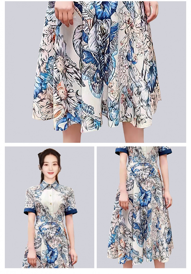 Embroidery short sleeve long printing dress