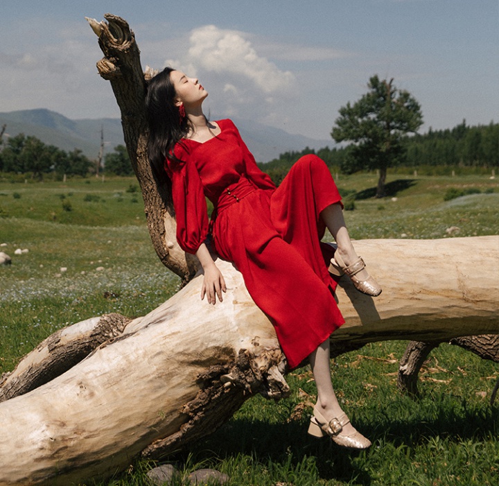 Beautiful big skirt spring red long dress