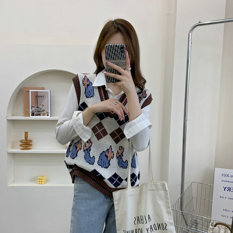 Spring and autumn vest wears outside waistcoat for women