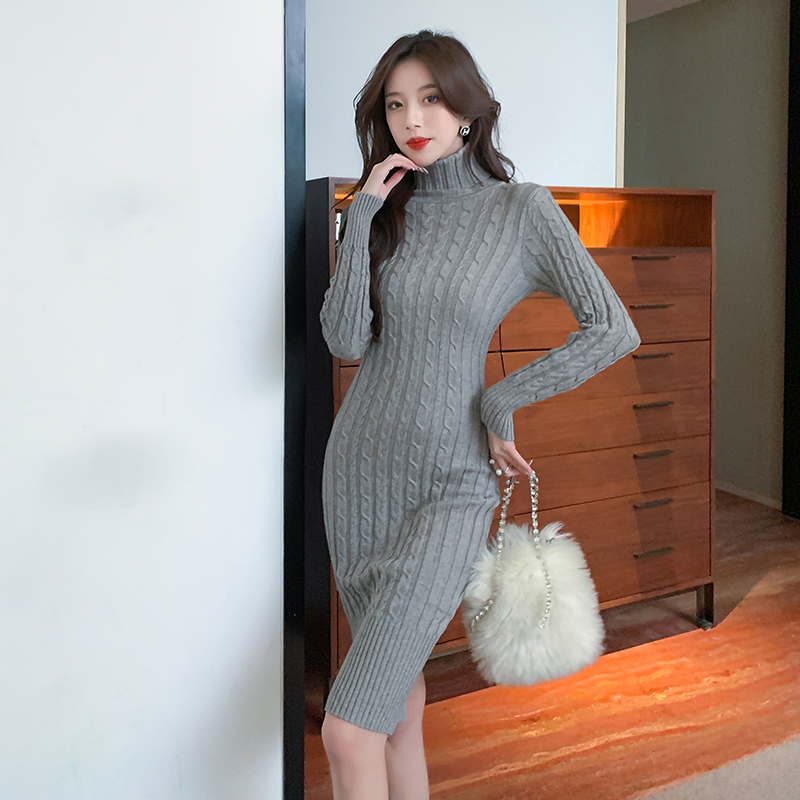 Korean style long sleeve high collar slim winter dress