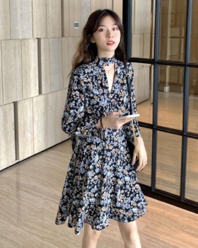 Floral Korean style dress fashion autumn jumpsuit for women