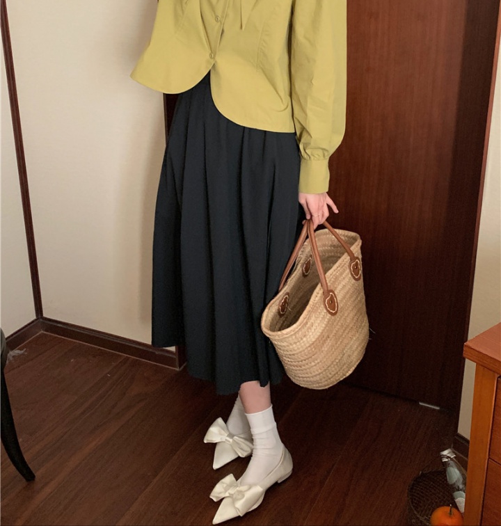 Korean style long all-match high waist skirt