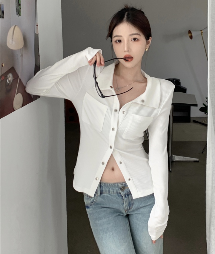 White temperament autumn shirt slim long sleeve quality tops