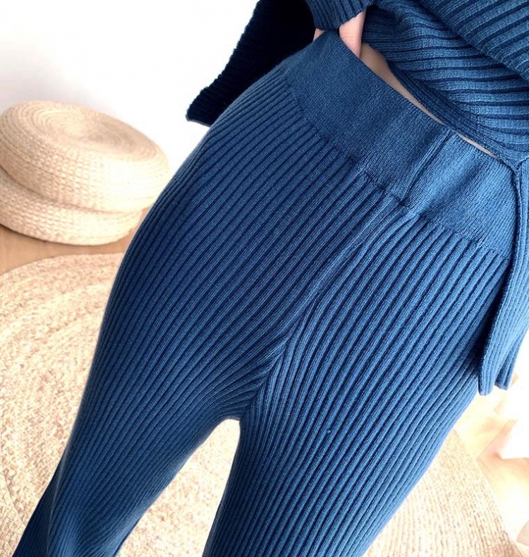 Fashion temperament casual pants 2pcs set for women
