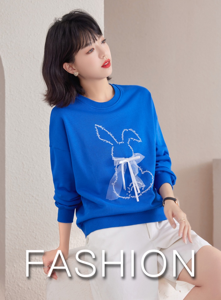 Autumn not hoodie European style Casual tops