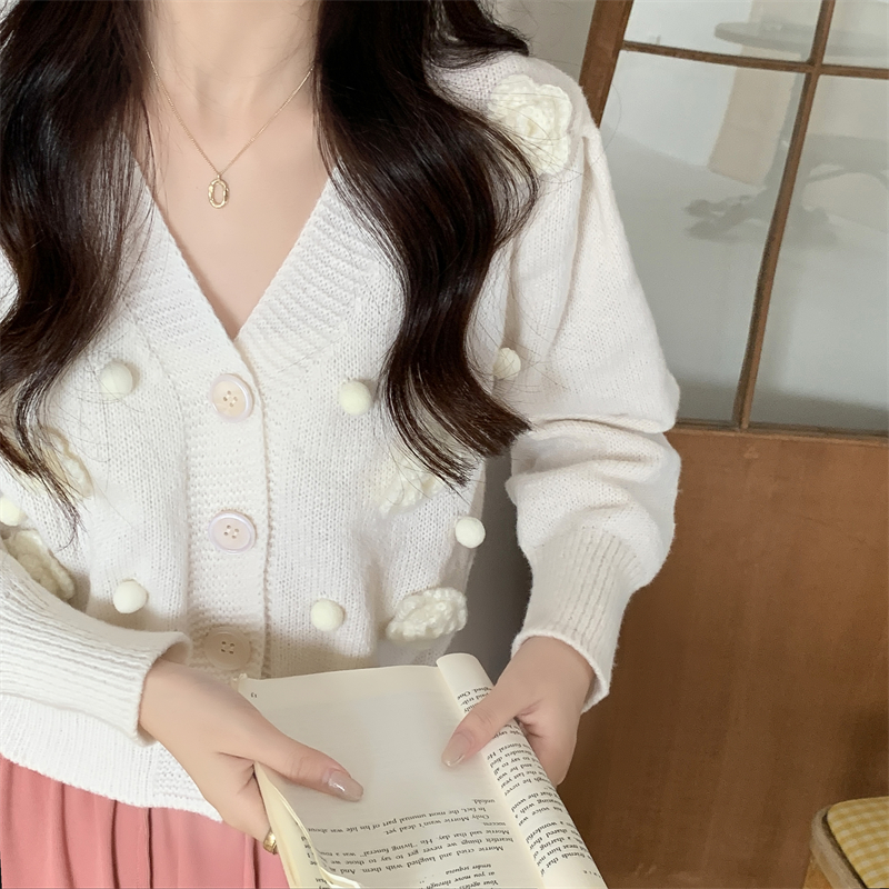 Colors Korean style fashion and elegant sweater