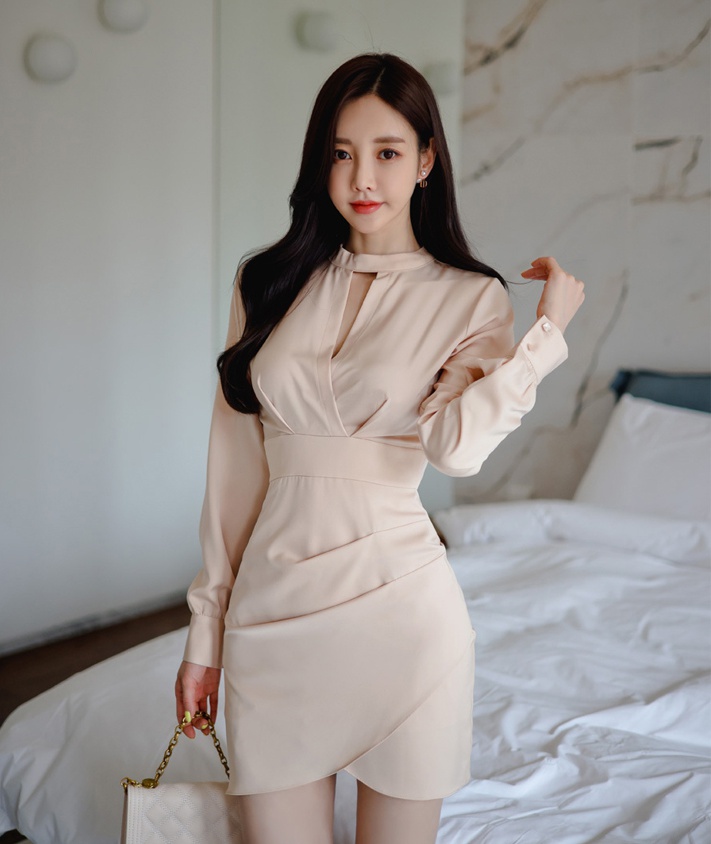 Fashion elegant Korean style cstand collar temperament dress