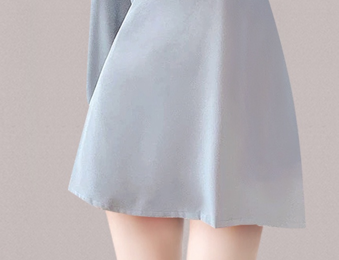 Pinched waist France style slim lantern sleeve dress