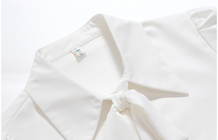 Long sleeve autumn shirt splice all-match tops for women