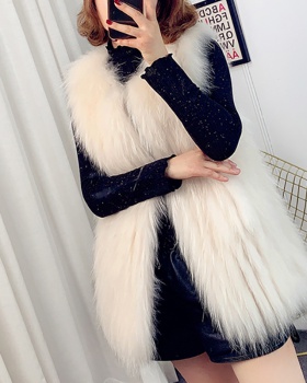 Raccoon fur fox fur vest all-match coat for women