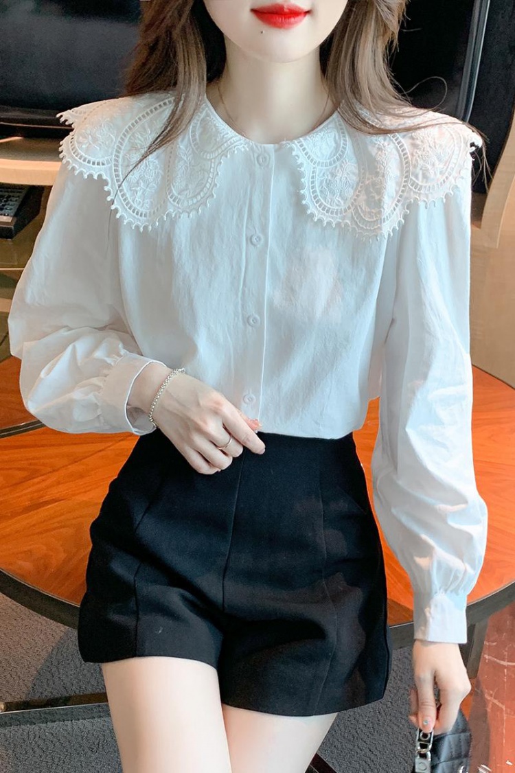 Pure cotton lace collar shirt unique tops