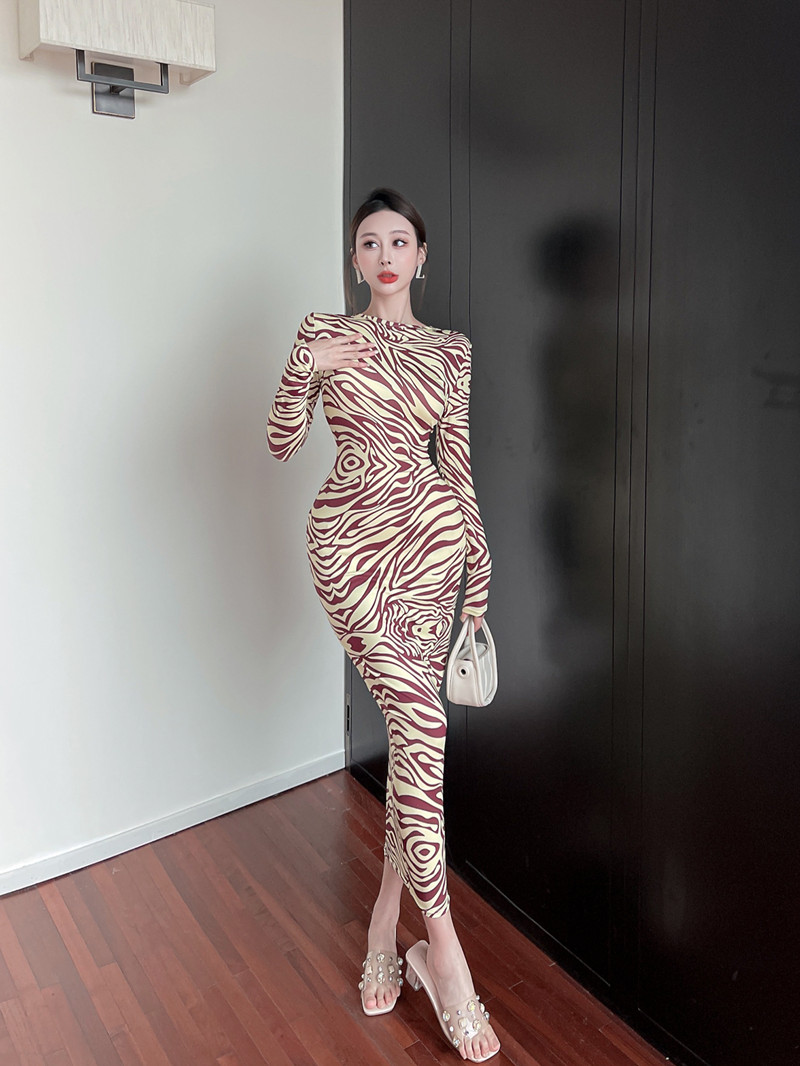 Long sleeve fashion printing slim autumn dress