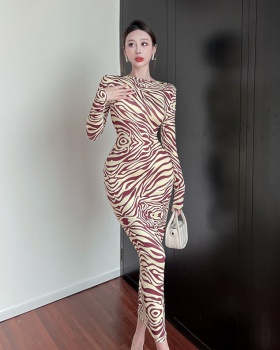 Long sleeve fashion printing slim autumn dress