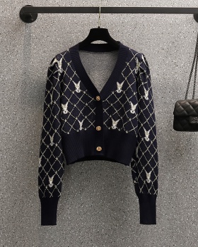 Fat fashion long sleeve Casual sweater for women