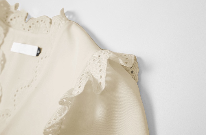 Fashion lace elegant puff sleeve V-neck dress for women