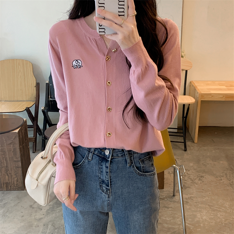 Short autumn and winter sweater bottoming embroidery coat