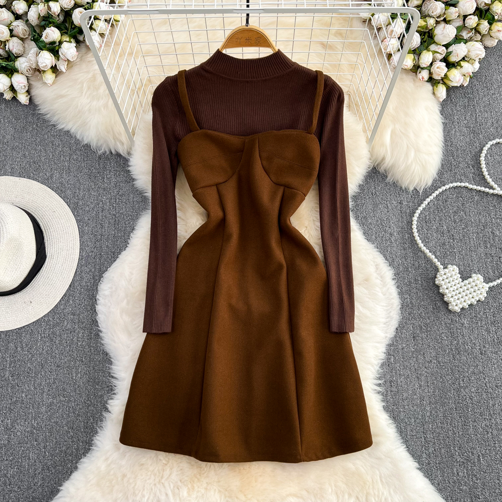 Knitted autumn and winter dress bottoming tops 2pcs set