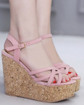 Thick crust slipsole sandals high-heeled cross platform for women