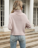 Autumn long sleeve high collar sweater for women