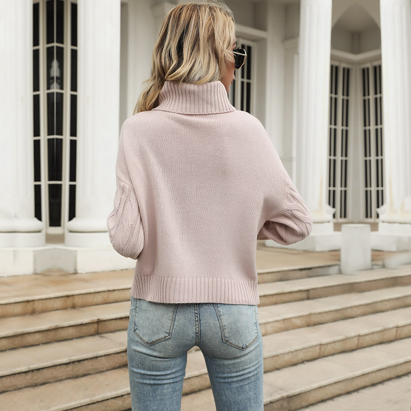 Autumn long sleeve high collar sweater for women