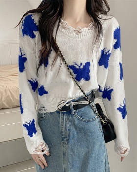 Loose strapless lazy short holes butterfly sweater