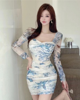 Bottoming printing lace slim autumn pinched waist dress