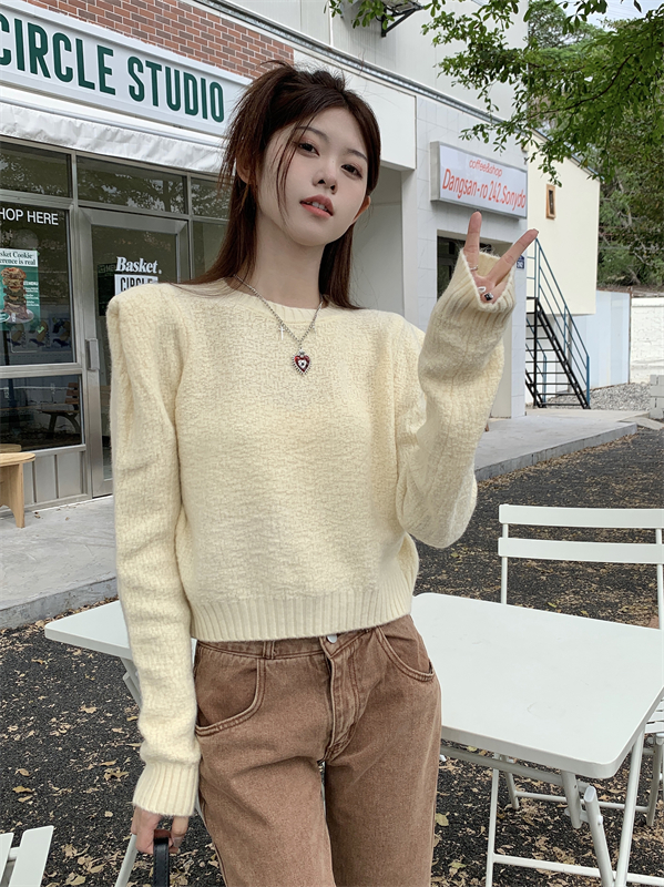 Short autumn tops white knitted sweater