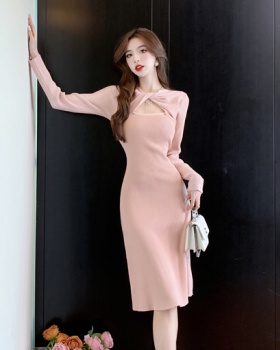 Bottoming long sleeve overcoat autumn and winter long dress