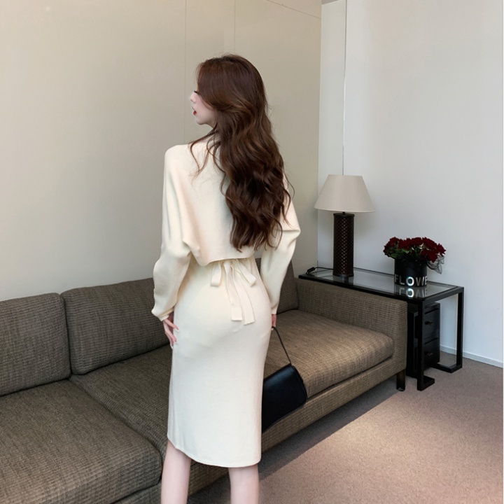 Minimalist elegant dress tight waistcoat 2pcs set