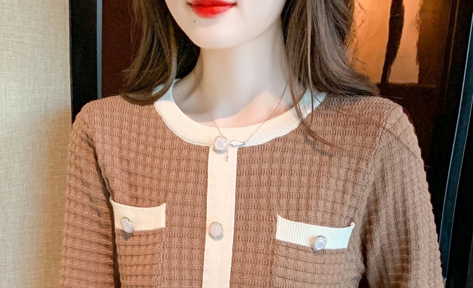 Autumn and winter dress single-breasted sweater dress