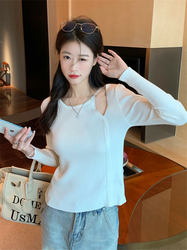 Long sleeve slim sweater hollow knitted bottoming shirt
