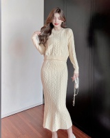 Round neck Korean style skirt long sleeve sweater 2pcs set