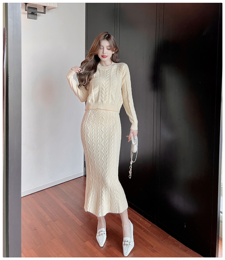 Round neck Korean style skirt long sleeve sweater 2pcs set
